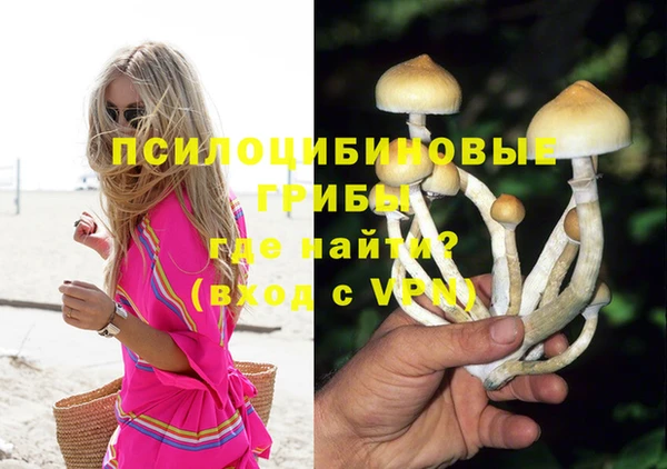 сатива Алзамай