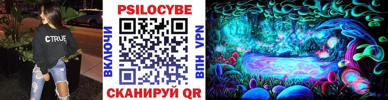 blacksprut ССЫЛКА  Полевской  Псилоцибиновые грибы прущие грибы 